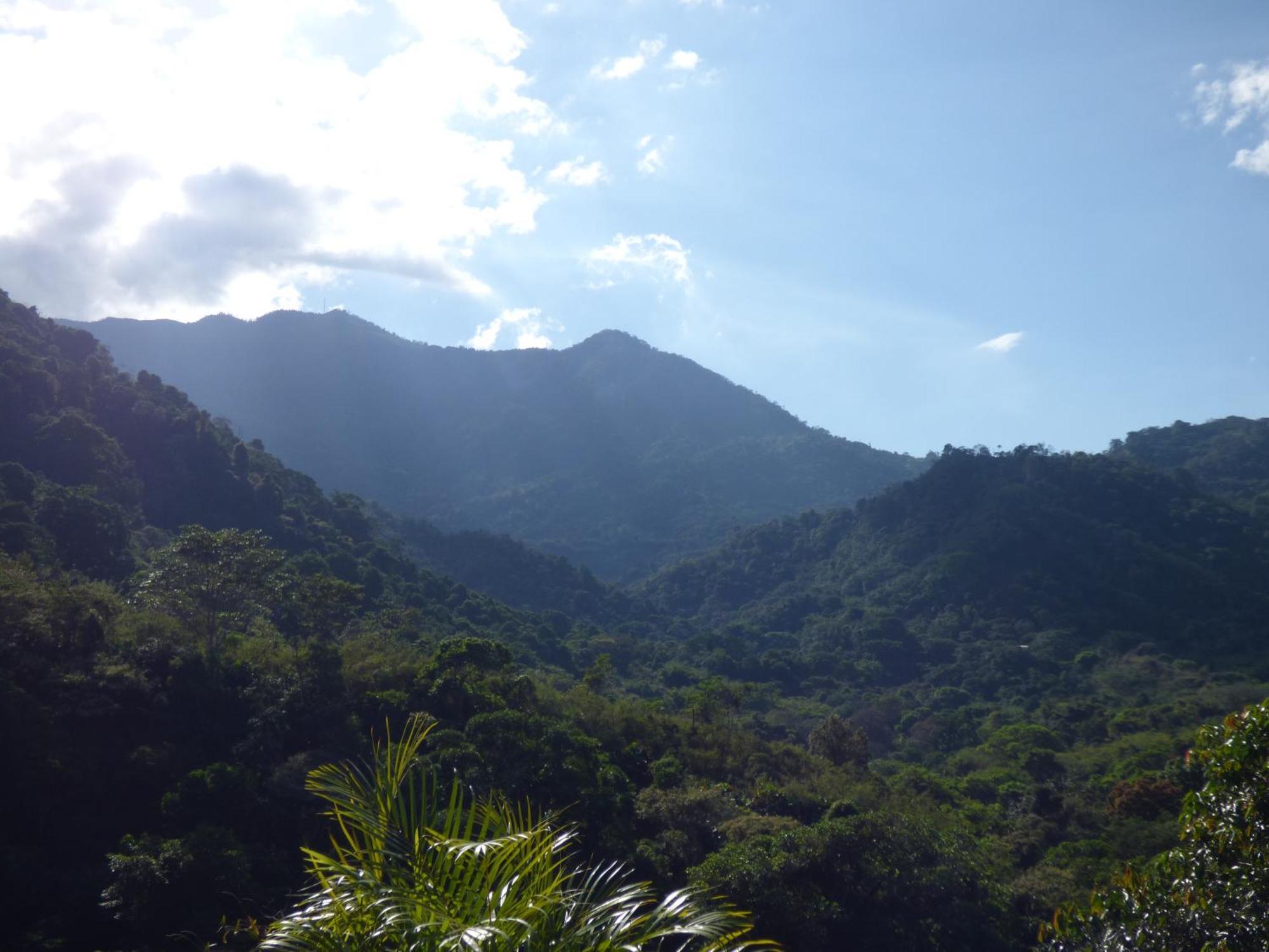 Hostal Alto De La Montana Minca Luaran gambar